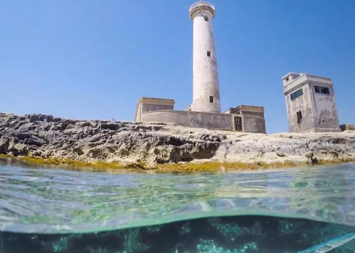 Open Space 公寓 奥古斯塔